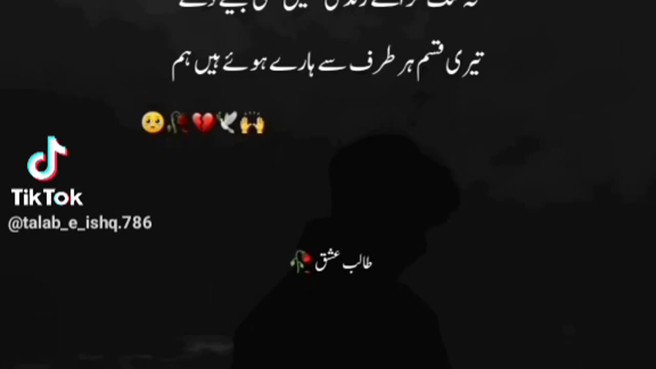 whatsapp status