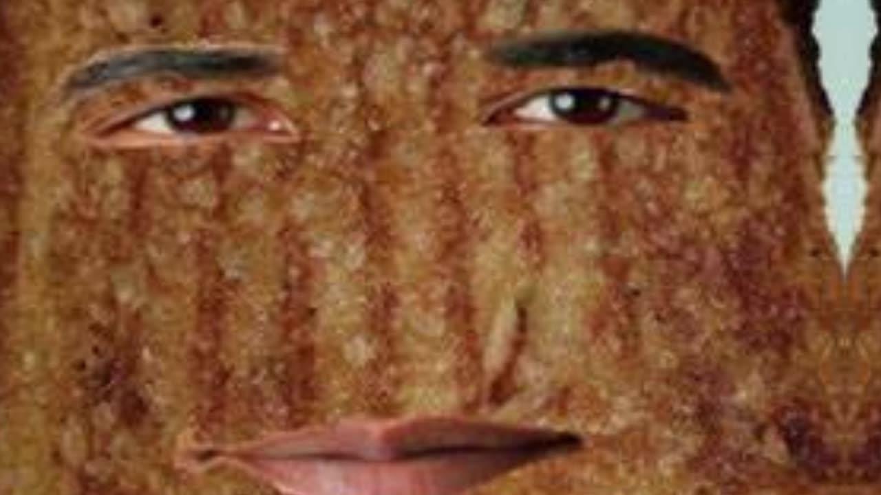 Grilled Cheese Obama Sandwich