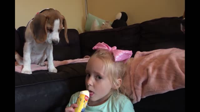Would you like ice cream, too