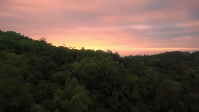 Nature sunrise new