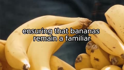 Why banana so cheap?