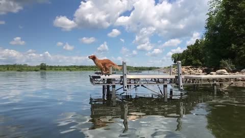 Ice Going For a Swim