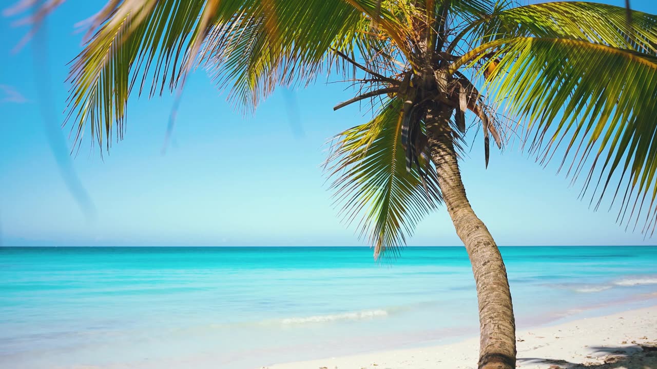 4K Tropical Beach Meditation ASMR Ocean Waves