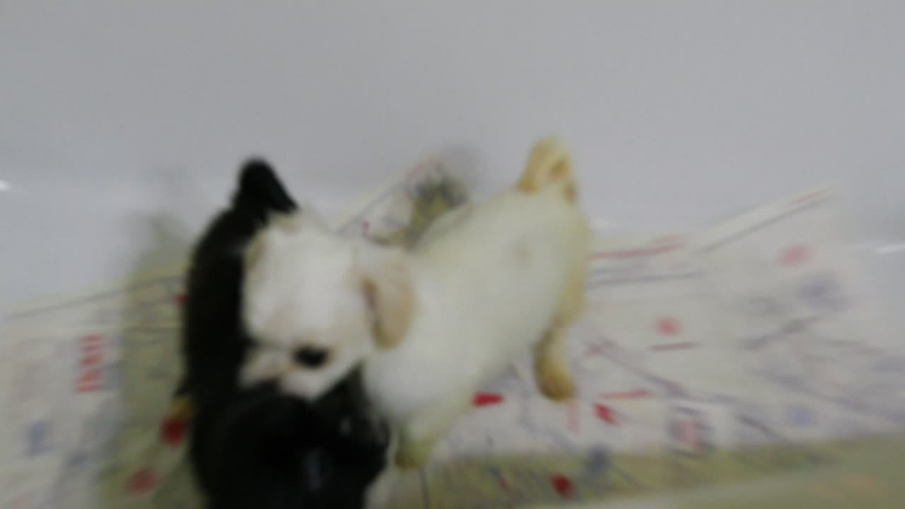 P9300104