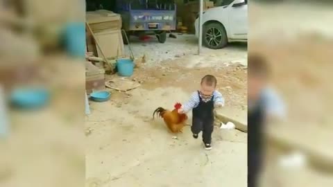 Best video of a turkey arguing with children