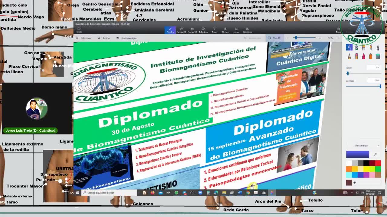 Calendarios de Diplomados de Biomagnetismo Cuántico Oficial