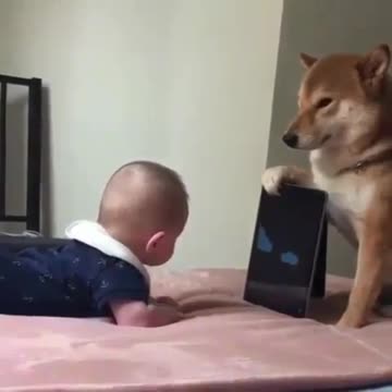 Company is the longest confession of love