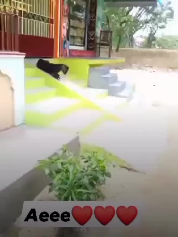 Kid are playing on road