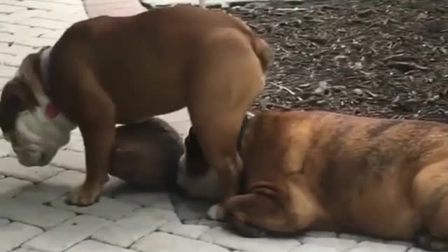 You need to do it on your head