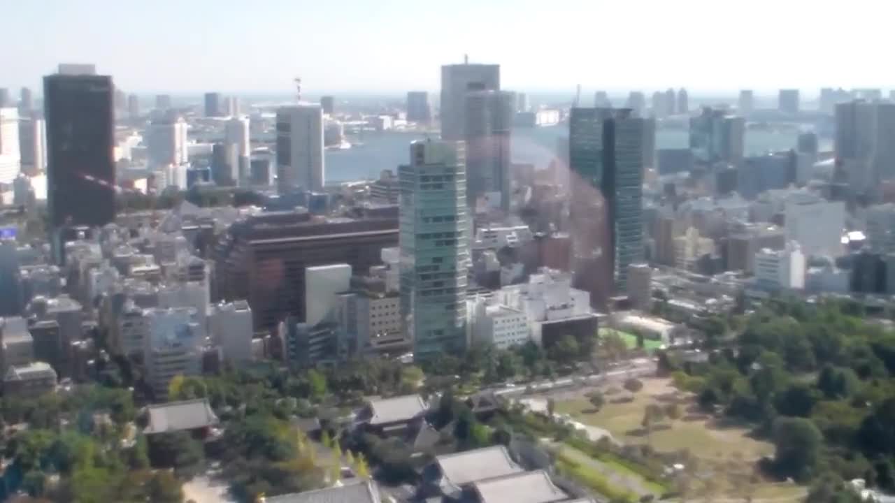 View from Tokyo Tower