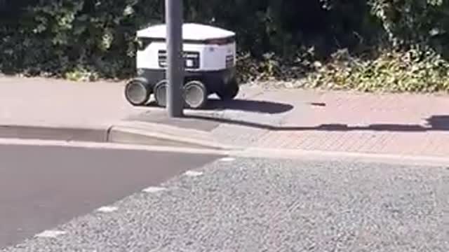 Helping a Starship Grocery Delivery Robot Cross Road Safely