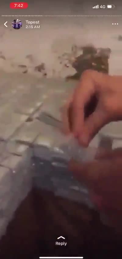 Remember Afghanistan? Remember how much stuff Biden and Kamala left ...