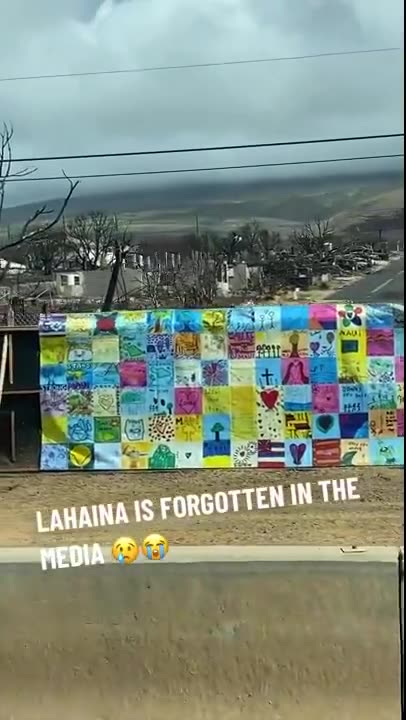 What The Hell Is Going on In Maui After That Devastating Wildfire?