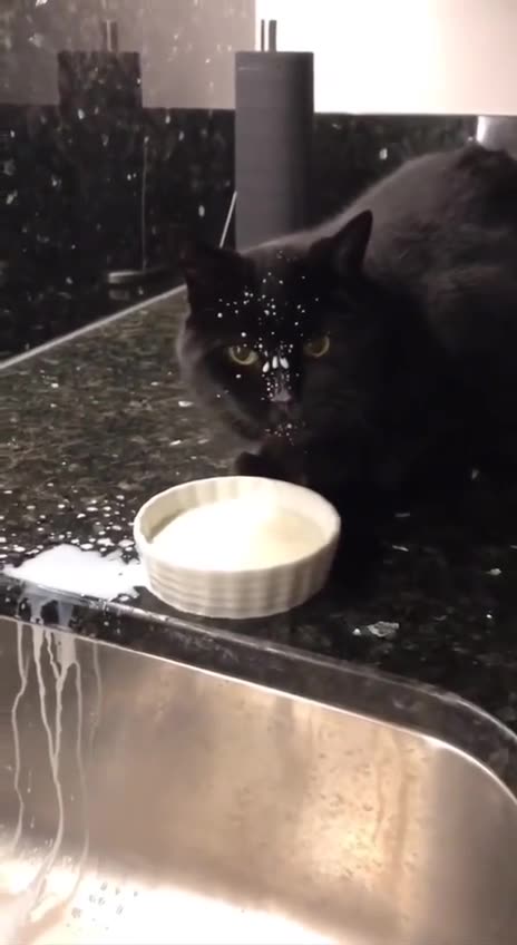 Such a sloppy messy eater 🤣😂