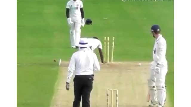Cricket funny moments