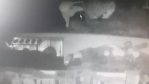 عمل يسرق المحل Shop robbery in the middle of the night
