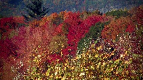 North Conway Overlook