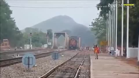 Animals getting hit by a train