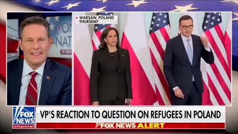 'I Was Embarrased': Democratic Strategist Says Kamala Harris' Performance In Europe Was 'Tragic'