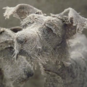 Artist Creates Sculptures Of Dogs With Vintage Textiles