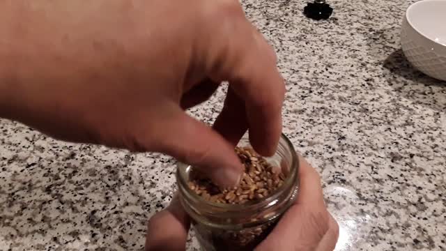 Putting A Wheat Grinder To The Test