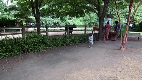 QUEENS ZOO. NY WITH MY GRAND SON