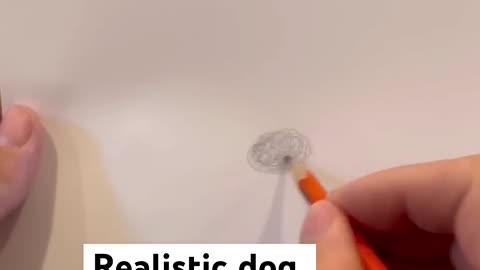 Realistic dog drawing