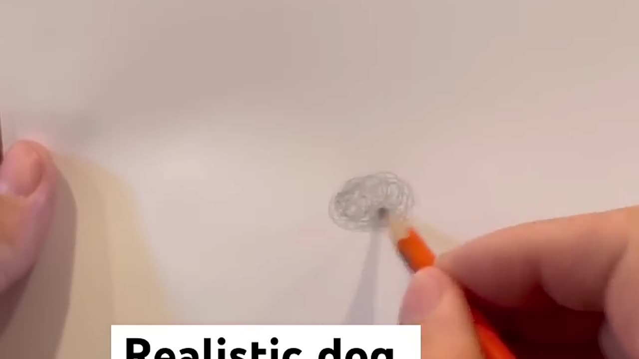 Realistic dog drawing