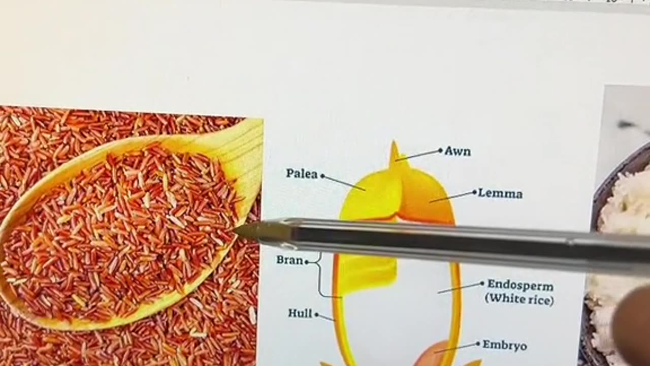 Heißhungerattacken