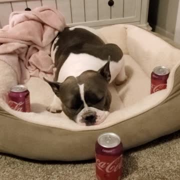 Momma singing the cola cola song to her girl