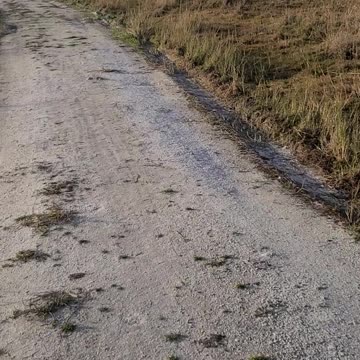 2020 1st trail bike ride of season