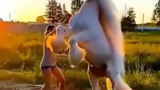 Wow the most beautiful horse...has super long hair