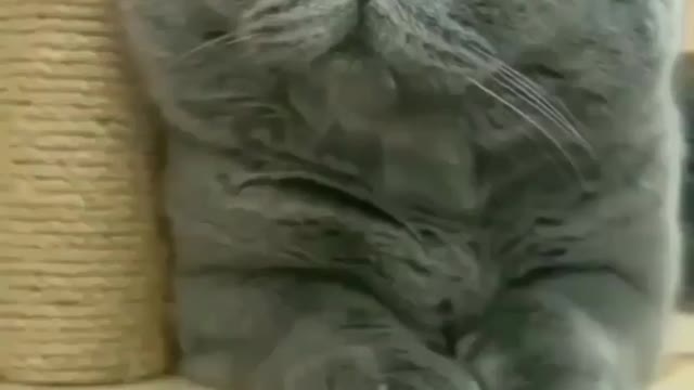 Look her expressions 🤪