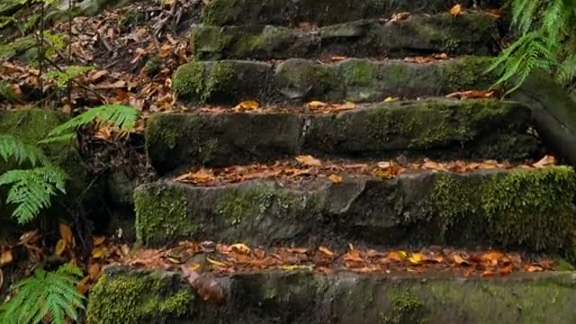 Going Up :)☺️ Beautiful And Relaxing Nature 🤩🤍