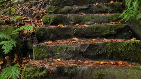 Going Up :)☺️ Beautiful And Relaxing Nature 🤩🤍