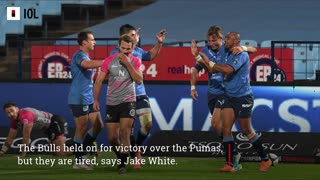 Jake White praises Bulls’ fighting spirit, but says: We are tired