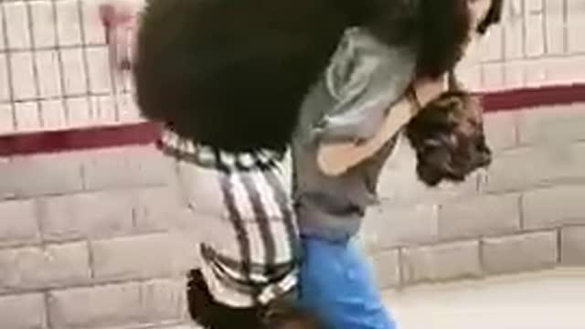 Baby_Dogs_--_Cute_and_Funny_Dog_Videos_Puppy_Dogs_Compilation