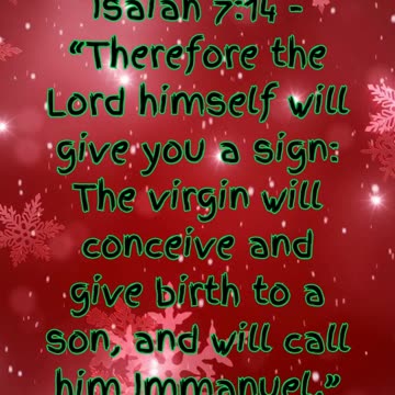 🎄 Countdown to Christmas: Day 5 - A Hopeful Beginning 🎄