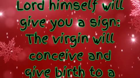 🎄 Countdown to Christmas: Day 5 - A Hopeful Beginning 🎄