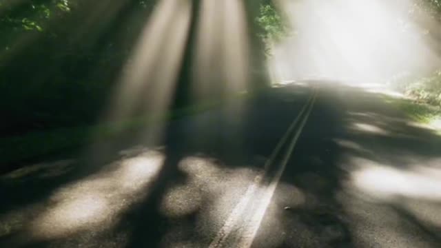"When the Tindall effect appears, light has a shape"