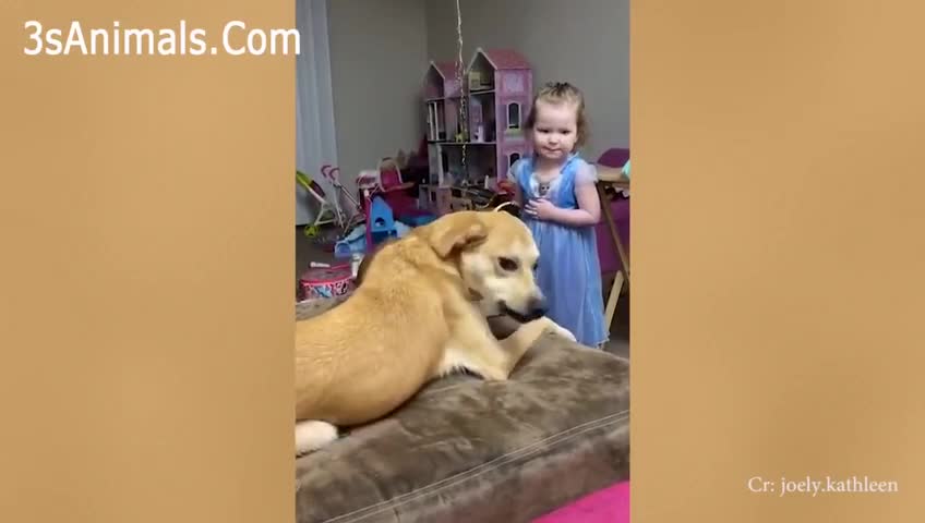 Cute Dogs and Babies are Best friends