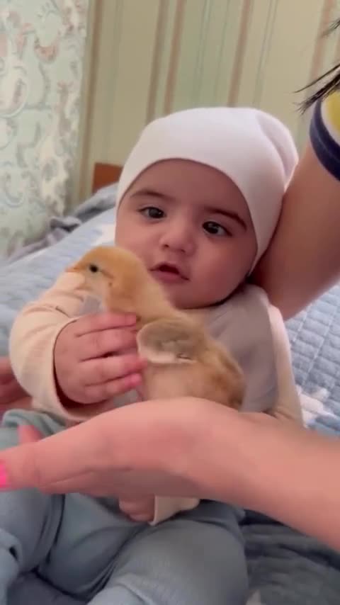 What Is It With Baby And Chicks 😂