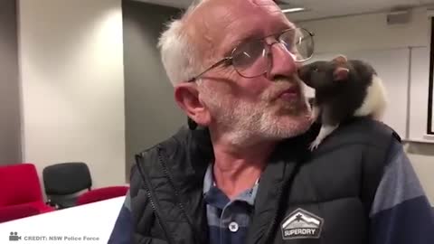 These Animals Don't Forget Their Owners After Years | Animal Reunion