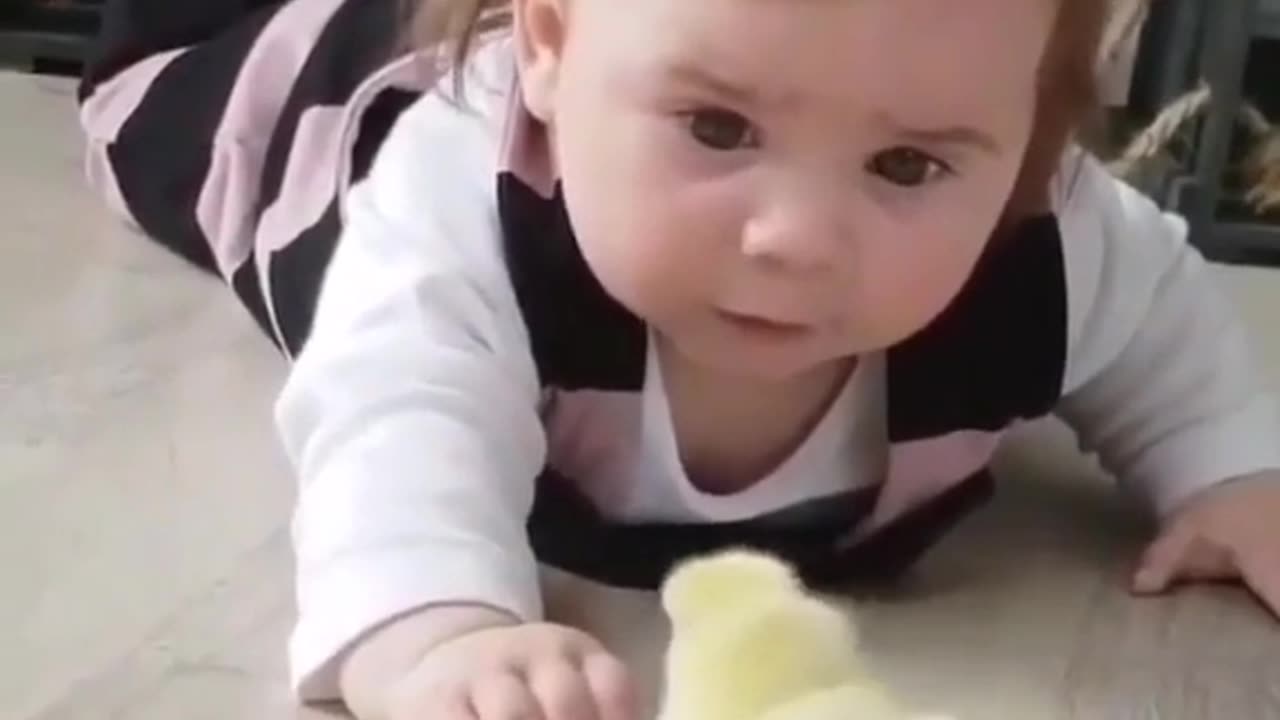 A boy with baby chicken