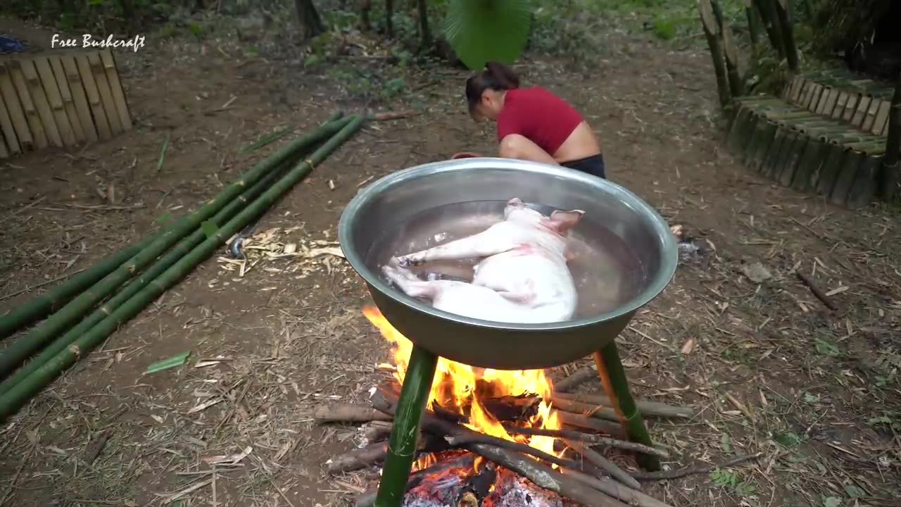 365 DAYS OFF GRID LIVING - Bushcraft Survival Shelter, Boil Whole Pig | Free Bushcraft #55