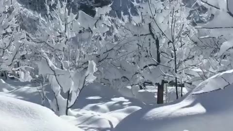 Snow