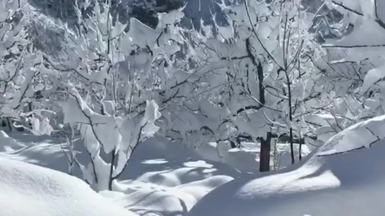 Snow
