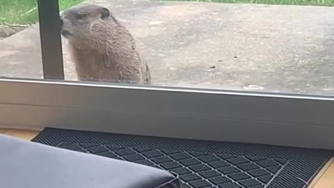 The little hand on the glass