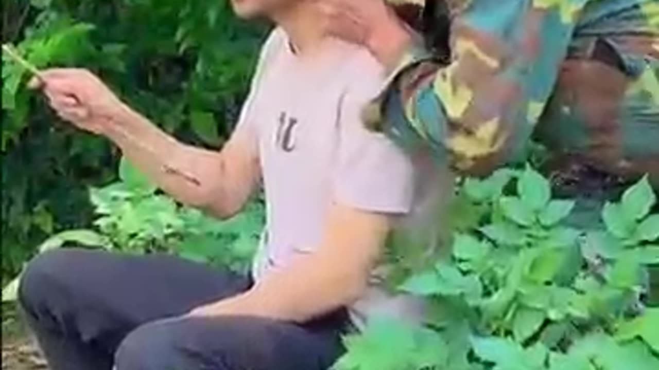 🤣All world funny video😂