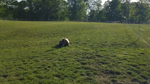 Hit the dirt again, 5/12/23